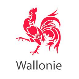 Wallonie logo